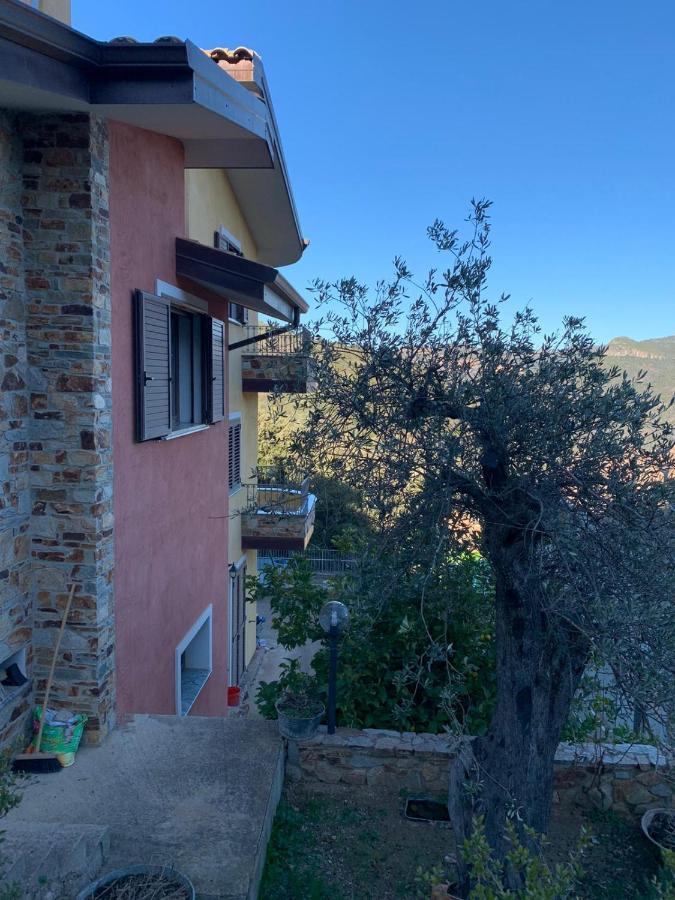 Il Vecchio Ulivo Sa Tanca Bed & Breakfast Ussàssai Exterior photo